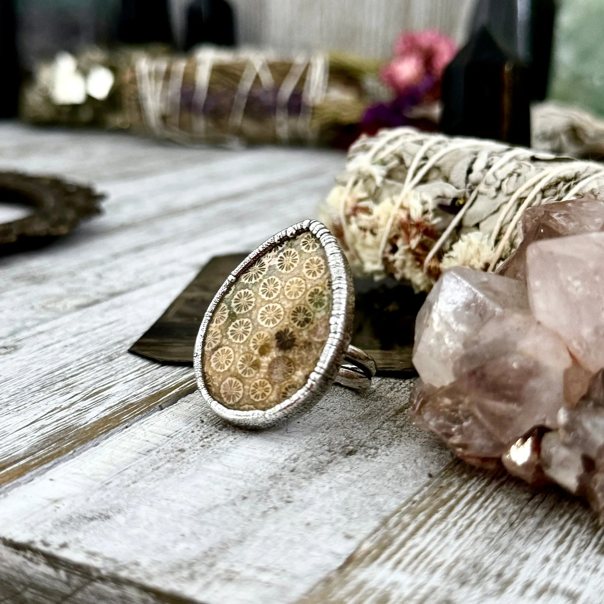 Big Fossilized Coral Ring Silver Size 7/ Foxlark Crystal Jewelry Collection