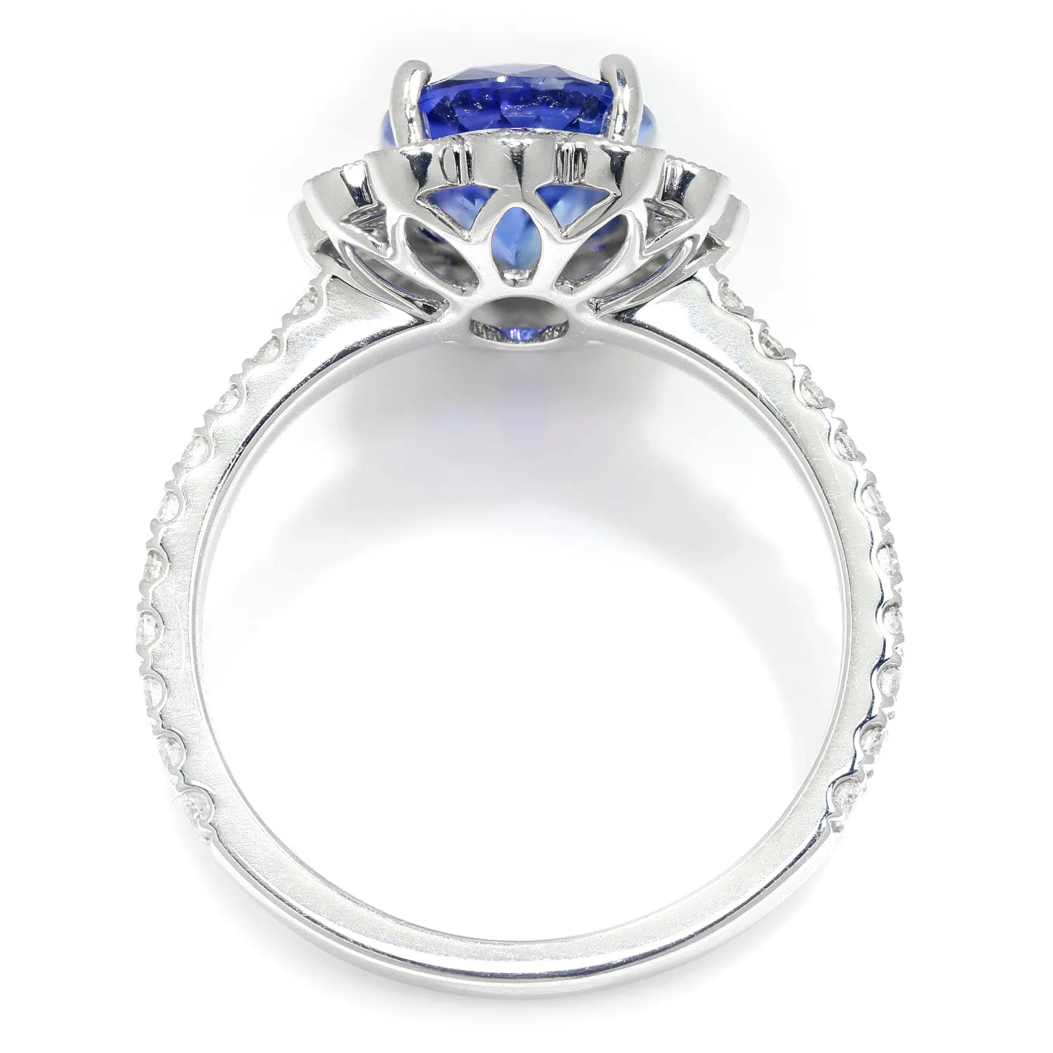 GIA Certified Blue No Heat Sapphire Halo Ring with Diamonds 18K