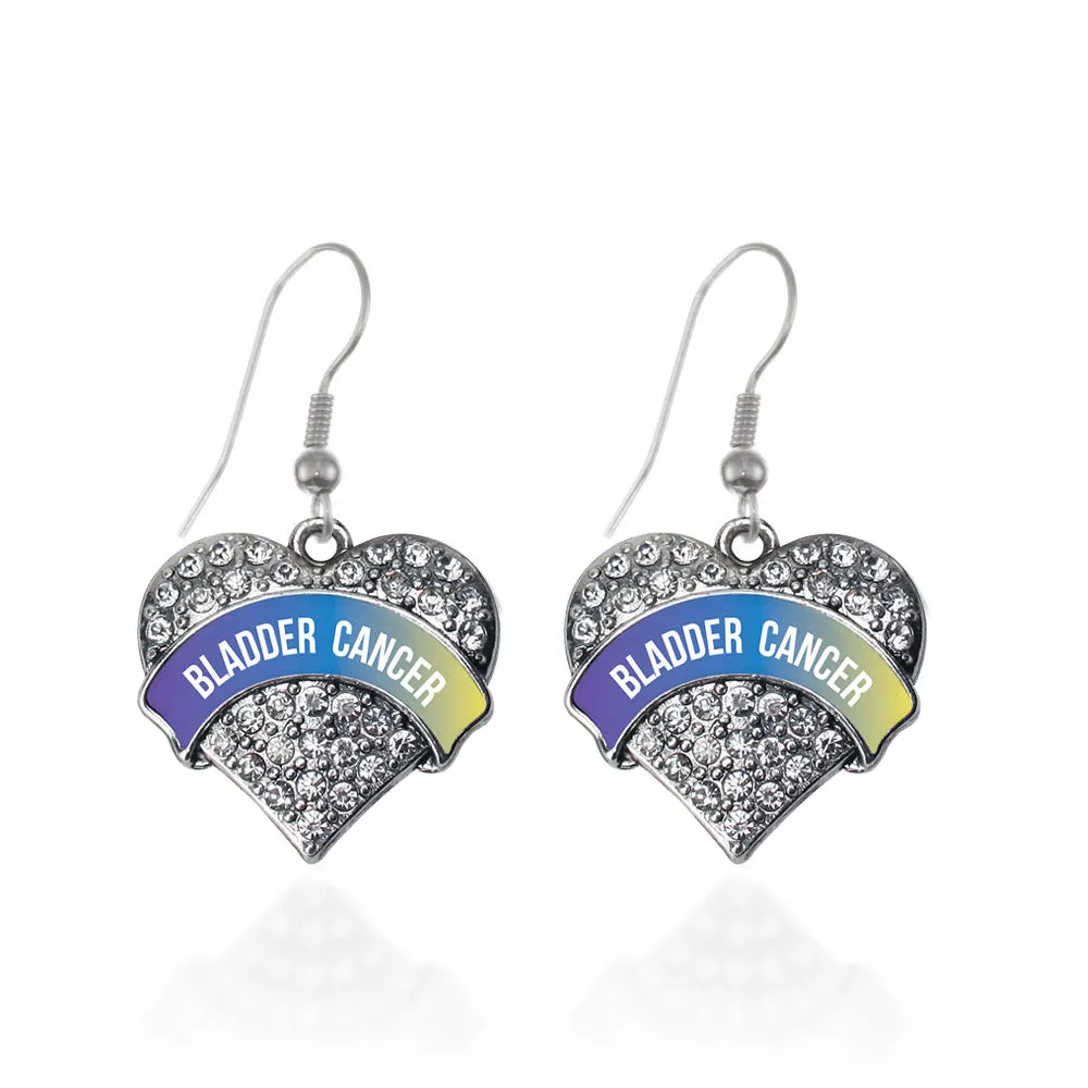 Silver Bladder Cancer Awareness Pave Heart Charm Dangle Earrings