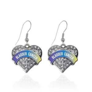 Silver Bladder Cancer Awareness Pave Heart Charm Dangle Earrings